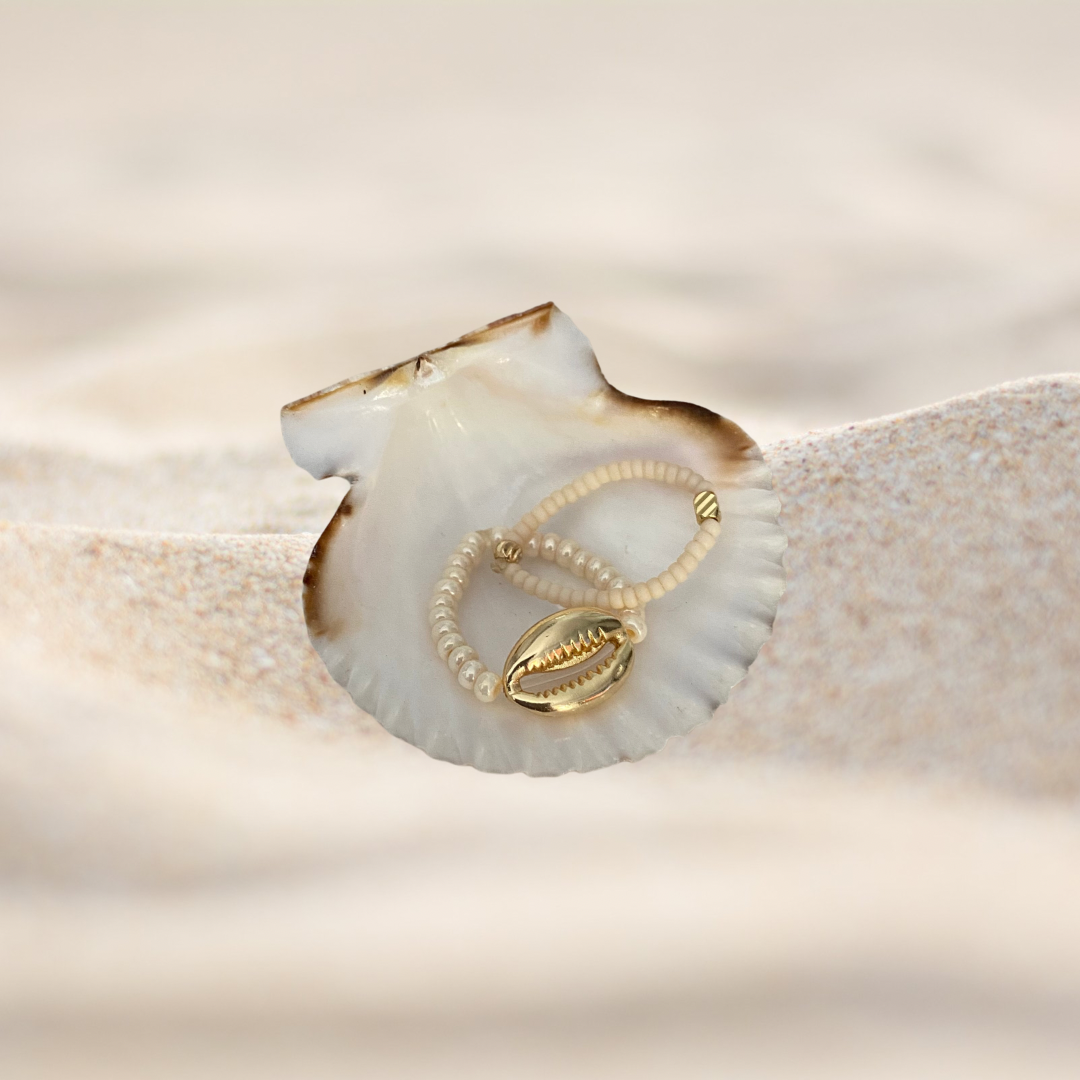 Anillos cowrie