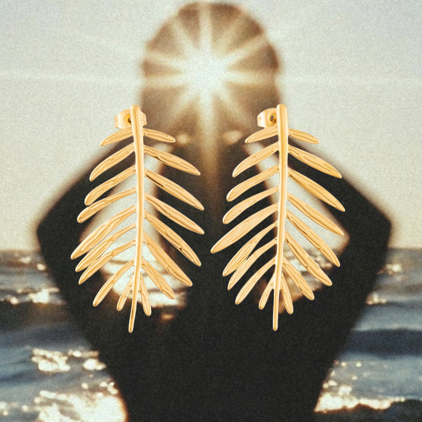 Palmera